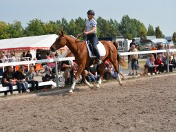 DSC_9260_web
